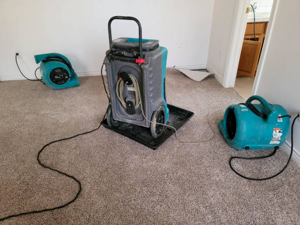 Best Ceiling water damage repair  in Marietta, PA
