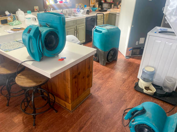 Best Mold removal after water damage  in Marietta, PA