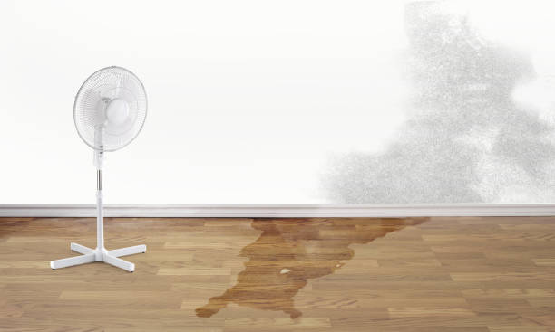Best 24/7 water damage repair  in Marietta, PA