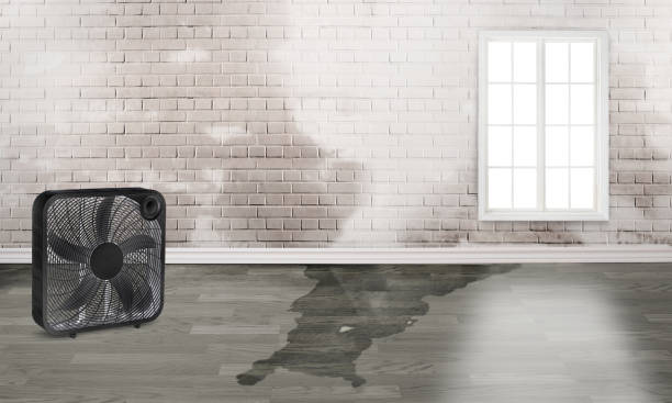 Best 24-hour water damage restoration  in Marietta, PA