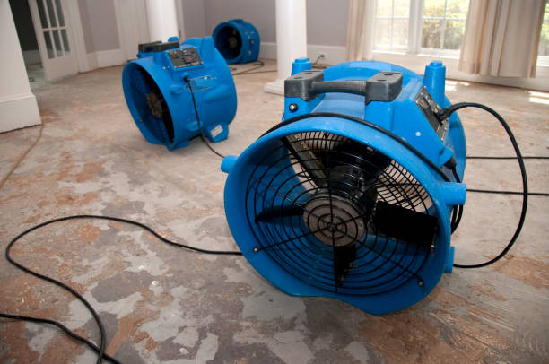 Best Water damage restoration near me  in Marietta, PA