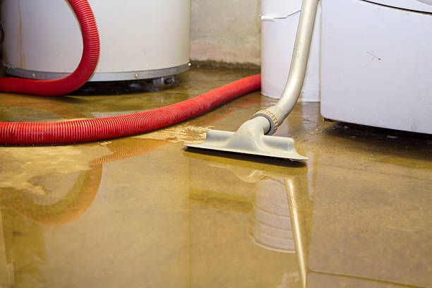 Best Professional water damage repair  in Marietta, PA