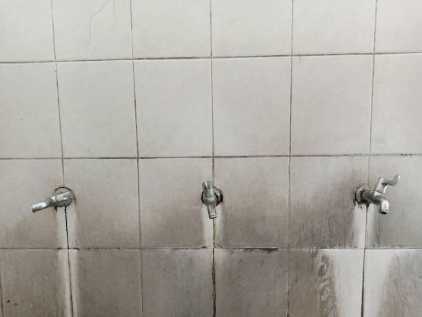 Best Carpet water damage restoration  in Marietta, PA