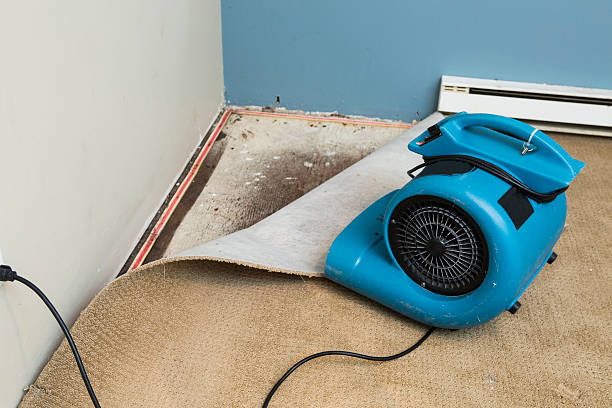 Best Basement water damage restoration  in Marietta, PA